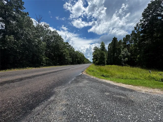 a view of a tree in a yard