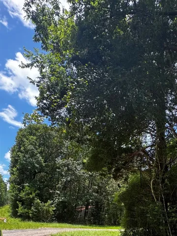 a view of sign board