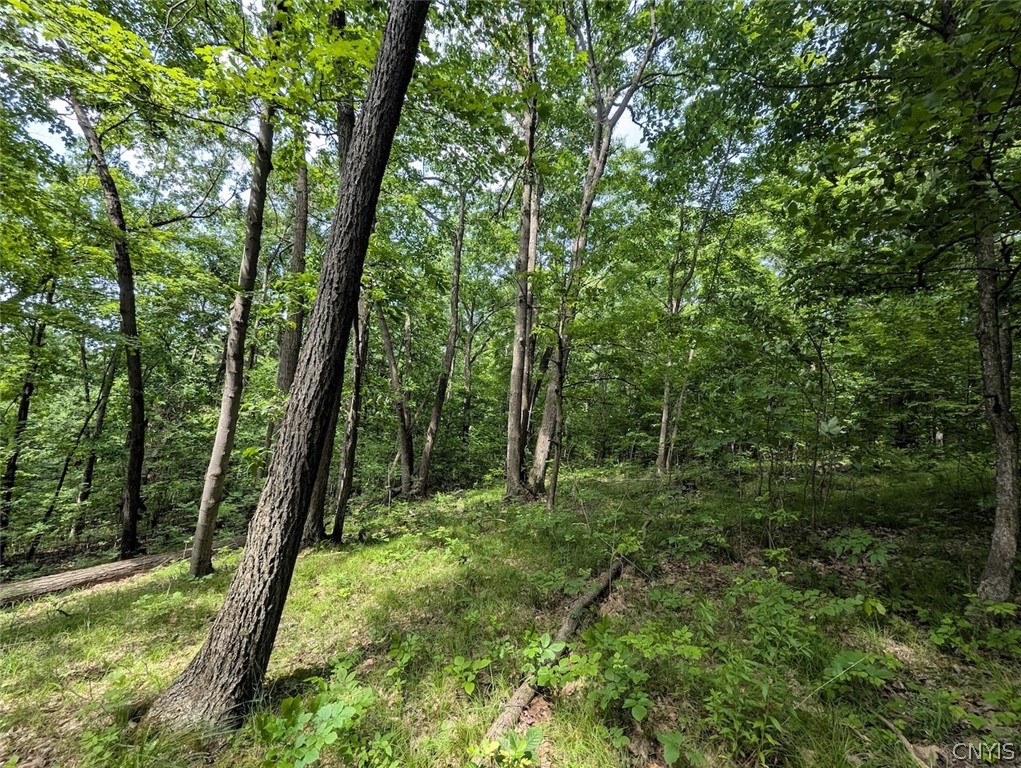 Keifer Hollow Road Dansville, NY 14437 - Photo 12 of 33
