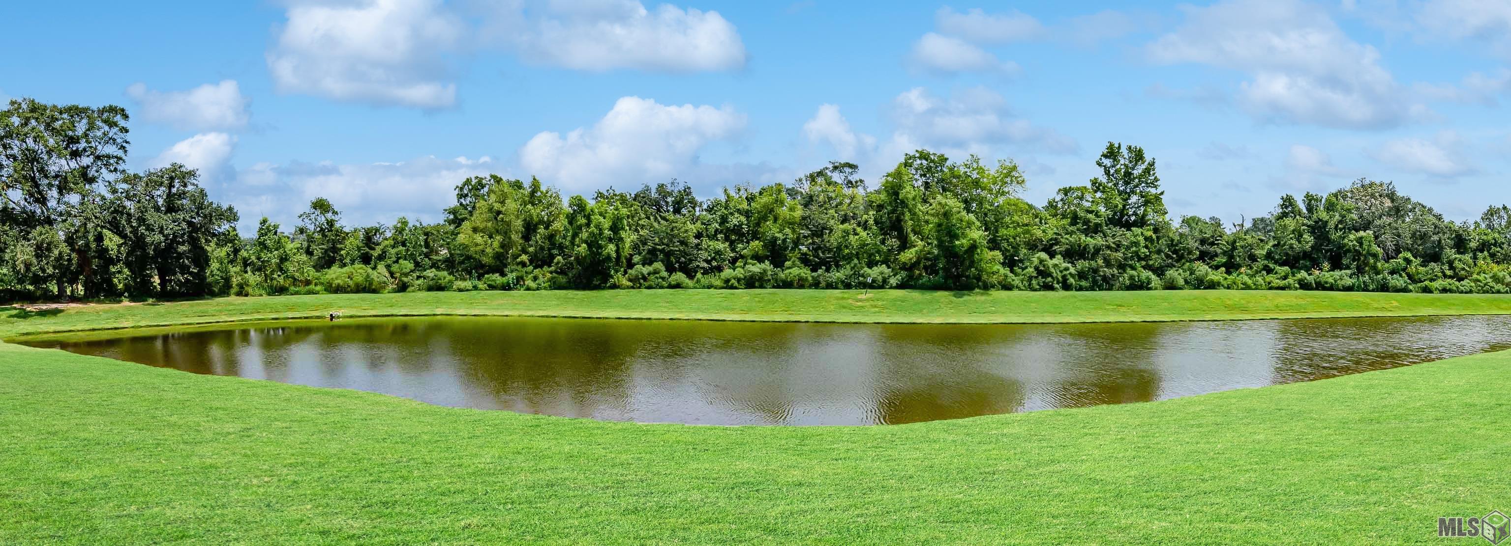 38395 Brown Road Prairieville, LA 70769 - Photo 25 of 25 Gallery Image 25