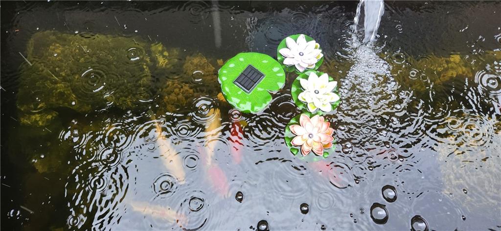 3100 Dutch Ridge Road Beaver, PA 15009 - Photo 49 of 50 small Koi Pond