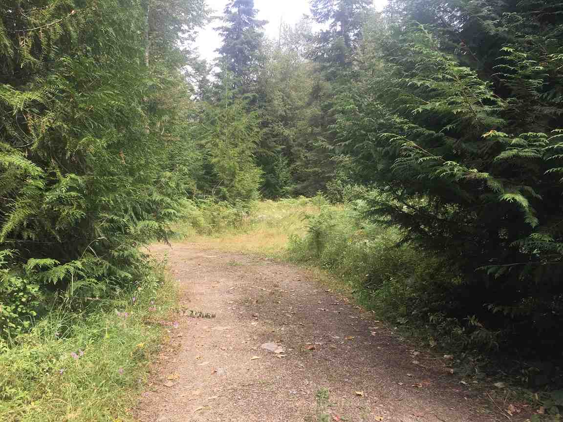 133 Selkirk Trl Road Ione, WA 99139 - Photo 19 of 20 Gallery Image 19