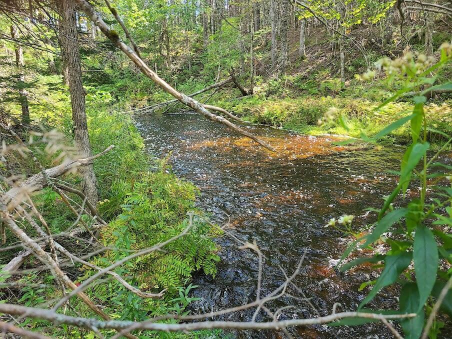 Lot 6 Estabrook Road Amity, ME 04471 - Photo 10 of 23 20210913_123810