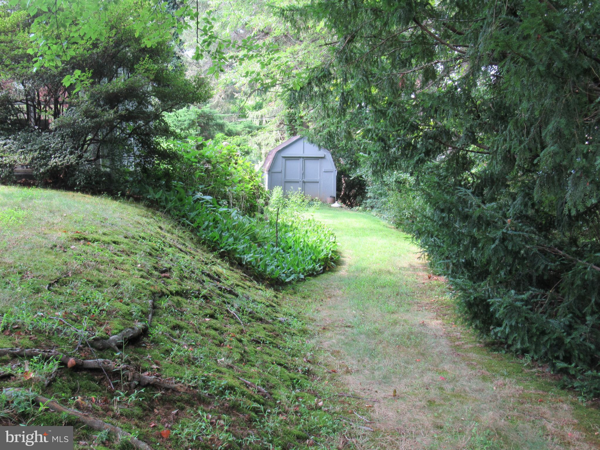 101 Dewey Road Cheltenham, PA 19012 - Photo 35 of 37 Side and rear yard