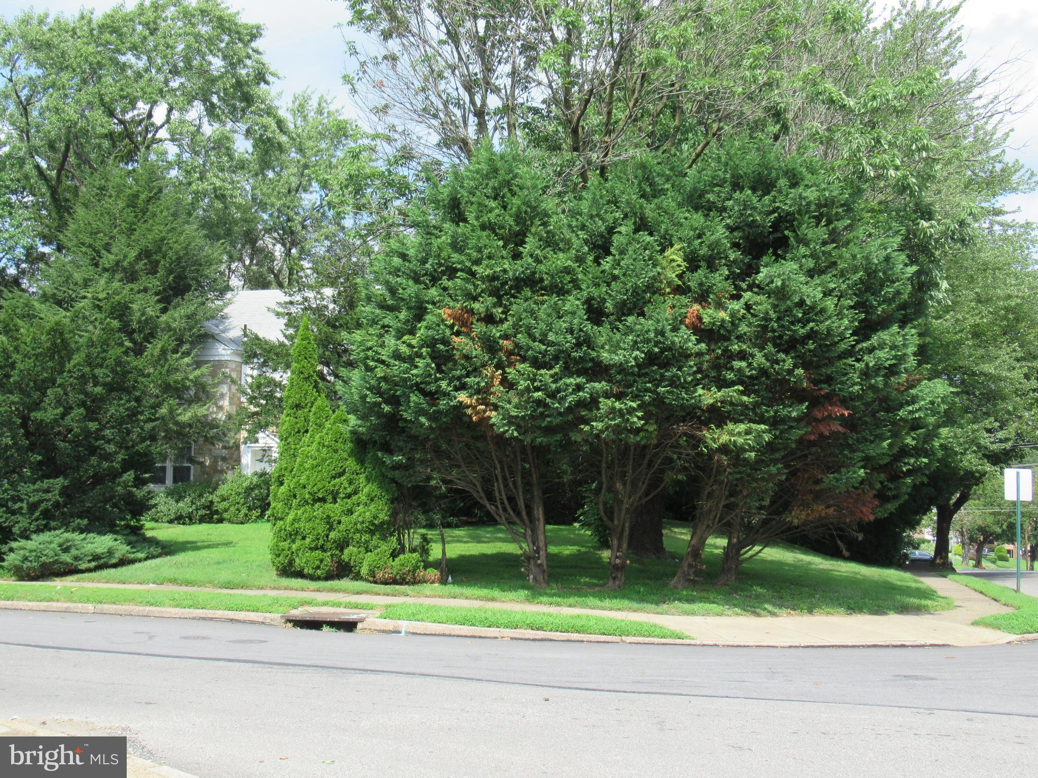 101 Dewey Road Cheltenham, PA 19012 - Photo 37 of 37 Corner is well treed.