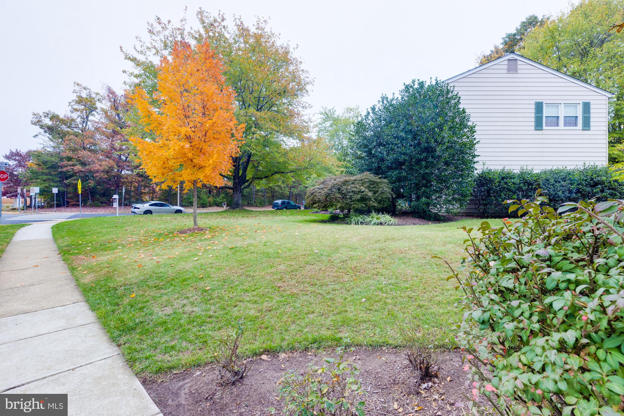8116 Northumberland Road Springfield, VA 22153 - Photo 13 of 54 Family friendly neighborhood w/sidewalks thru out