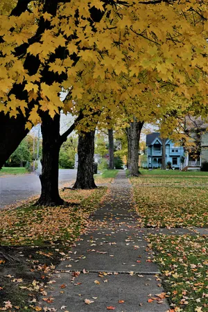 $300,000 | 402 Jefferson Street, Cassopolis, MI 49031