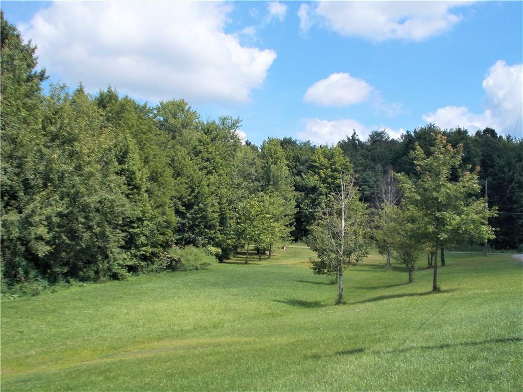 124 Currie Road Slippery Rock, PA 16057 - Photo 22 of 25 The front yard is lined with beautiful mature trees.