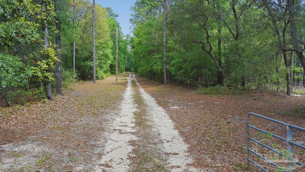 8938 Pioneer Road Holt, FL 32564 - Photo 42 of 44 a view of a dirt road with trees in the background