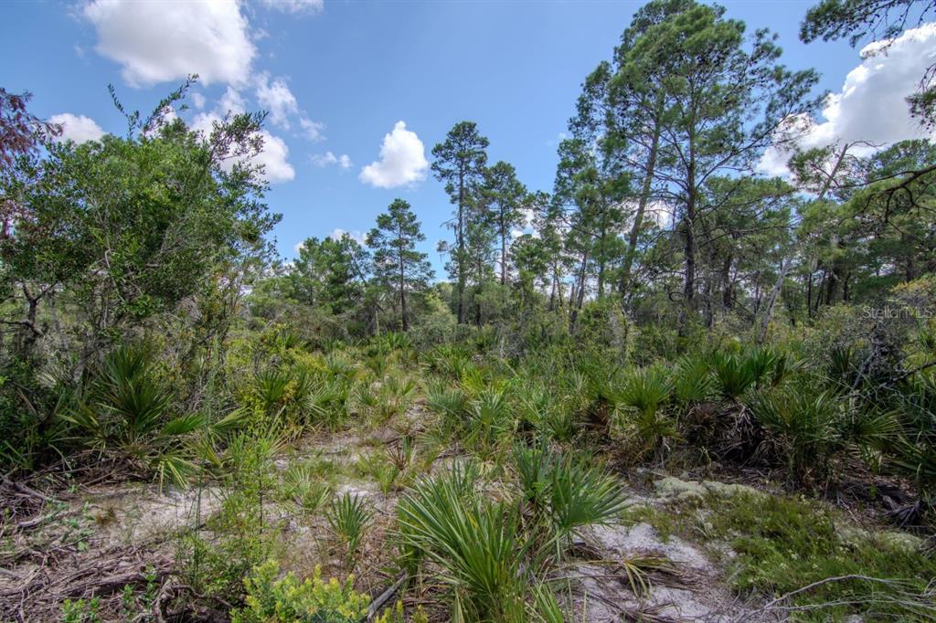 192 Freedom Drive Frostproof, FL 33843 - Photo 44 of 49