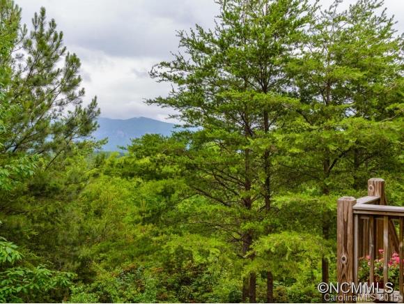 2501 Grassy Knob Road Mill Spring, NC 28756 - Photo 23 of 24 Gallery Image 23