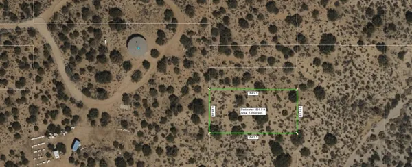 a bathroom with a shower curtain