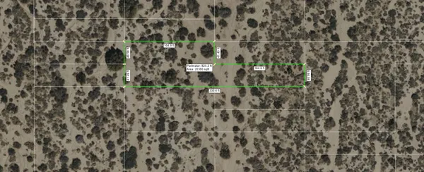 a close up of a plant