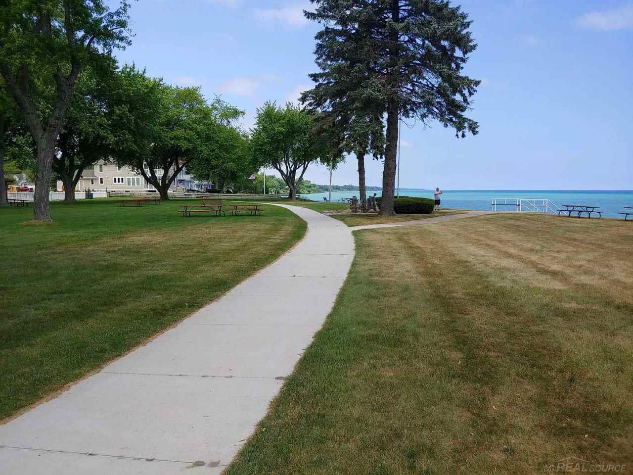 Tbd Woodbine Road Lexington, MI 48450 - Photo 4 of 16
