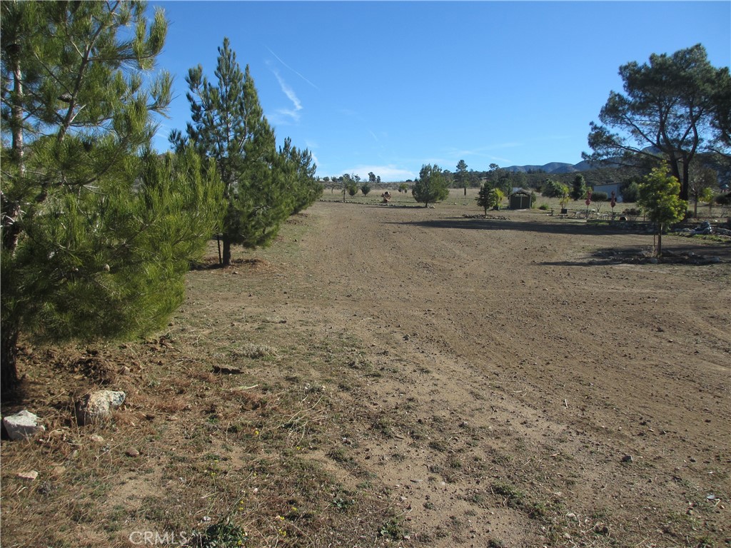 0 Maryhill Road Acton, CA 93510 - Photo 1 of 1 On the parcel