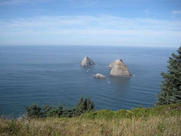 Lot1 Maxwell Mountain Road Oceanside, OR 97134 - Photo 3 of 11 20