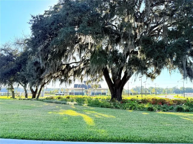 a view of a basketball area in the park