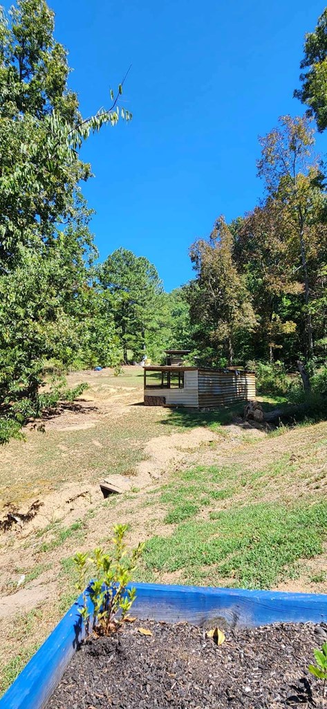 396 Dr Johnson Road Crandall, GA 30711 - Photo 17 of 49 Gallery Image 17