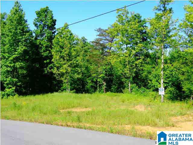0 Riverview Drive, Unit 116 Cleveland, AL 35049 - Photo 7 of 30