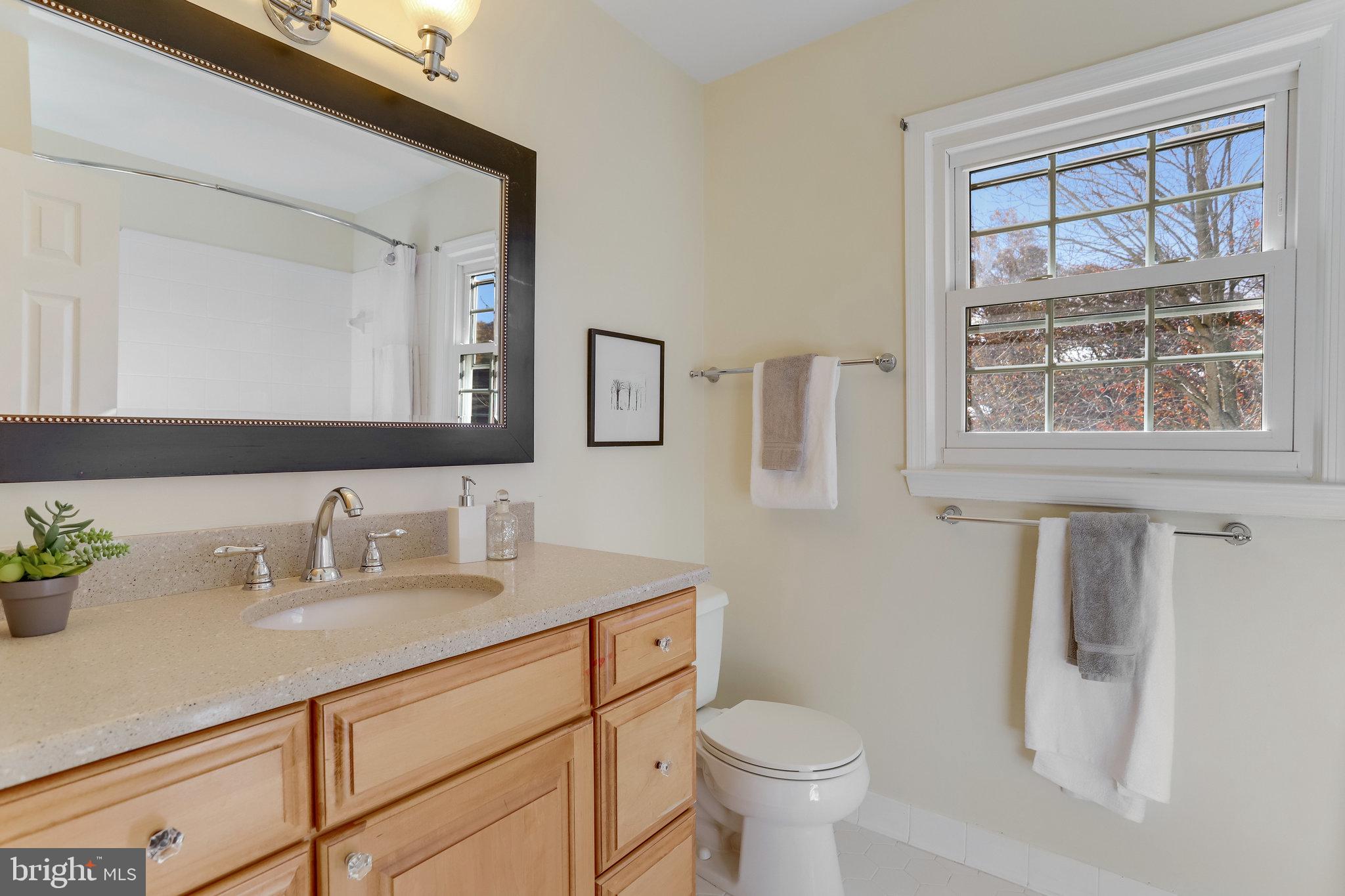 8103 Viola Street Springfield, VA 22152 - Photo 55 of 98