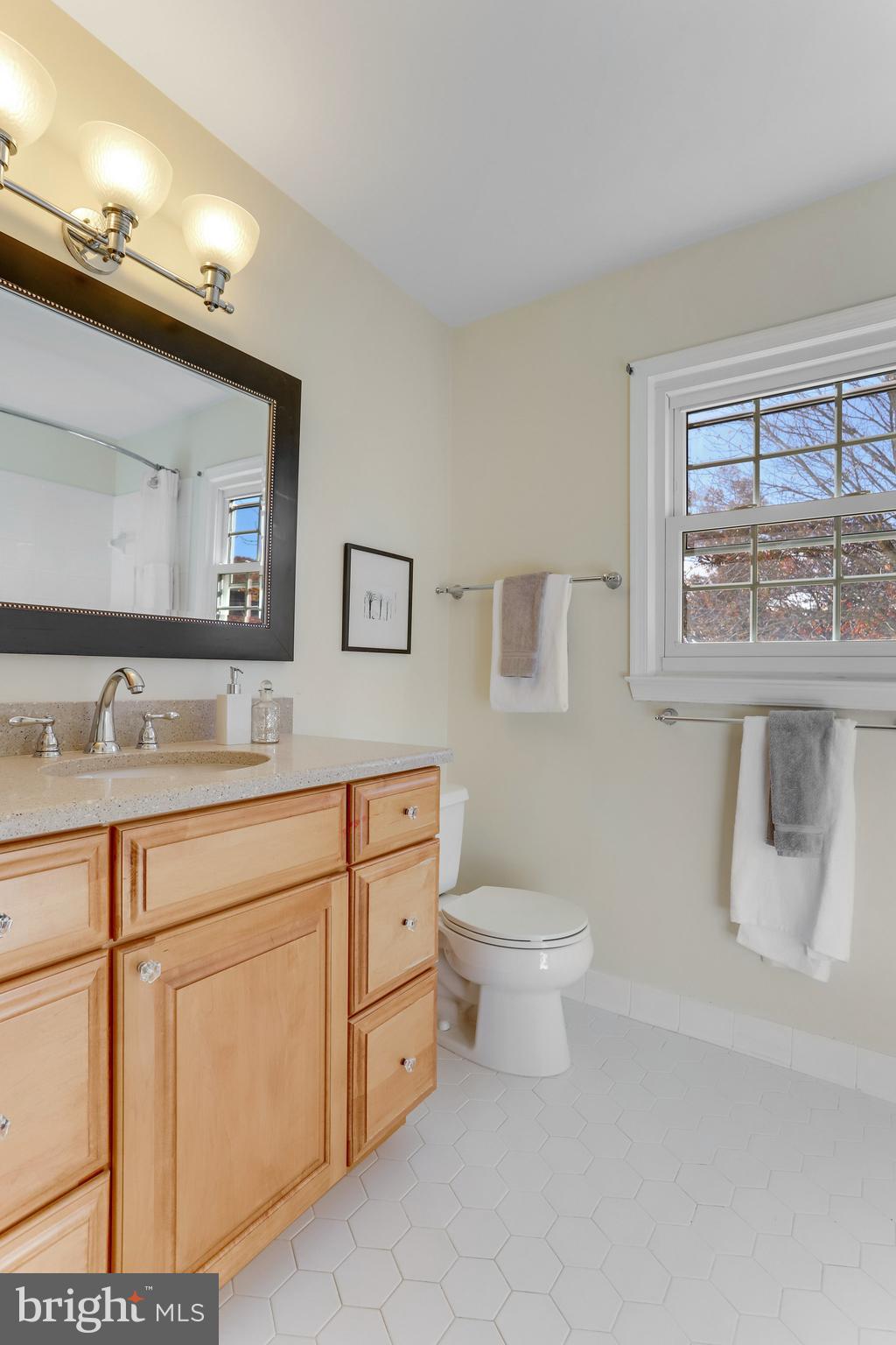 8103 Viola Street Springfield, VA 22152 - Photo 56 of 98