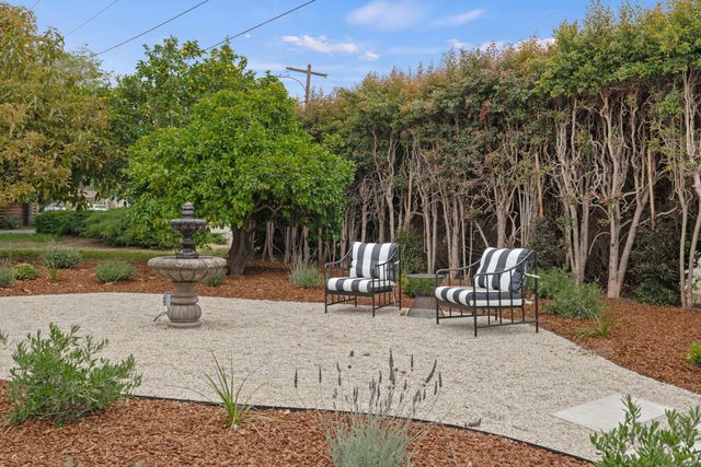 a park view with a bench and trees