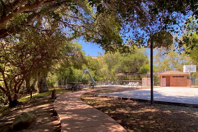 a view of a yard with plants