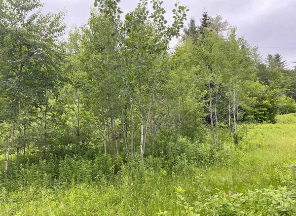 $195,000 | 4769 Pikes Falls Road, Jamaica, VT 05343
