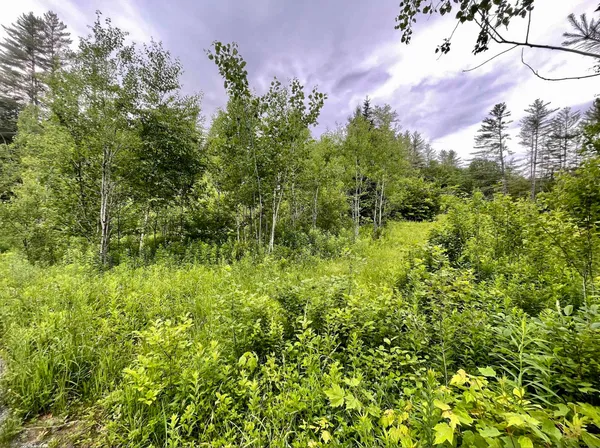 $195,000 | 4769 Pikes Falls Road, Jamaica, VT 05343