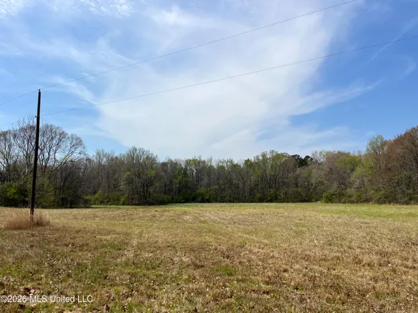 $55,000 | Simpson Road, Pickens, MS 39146