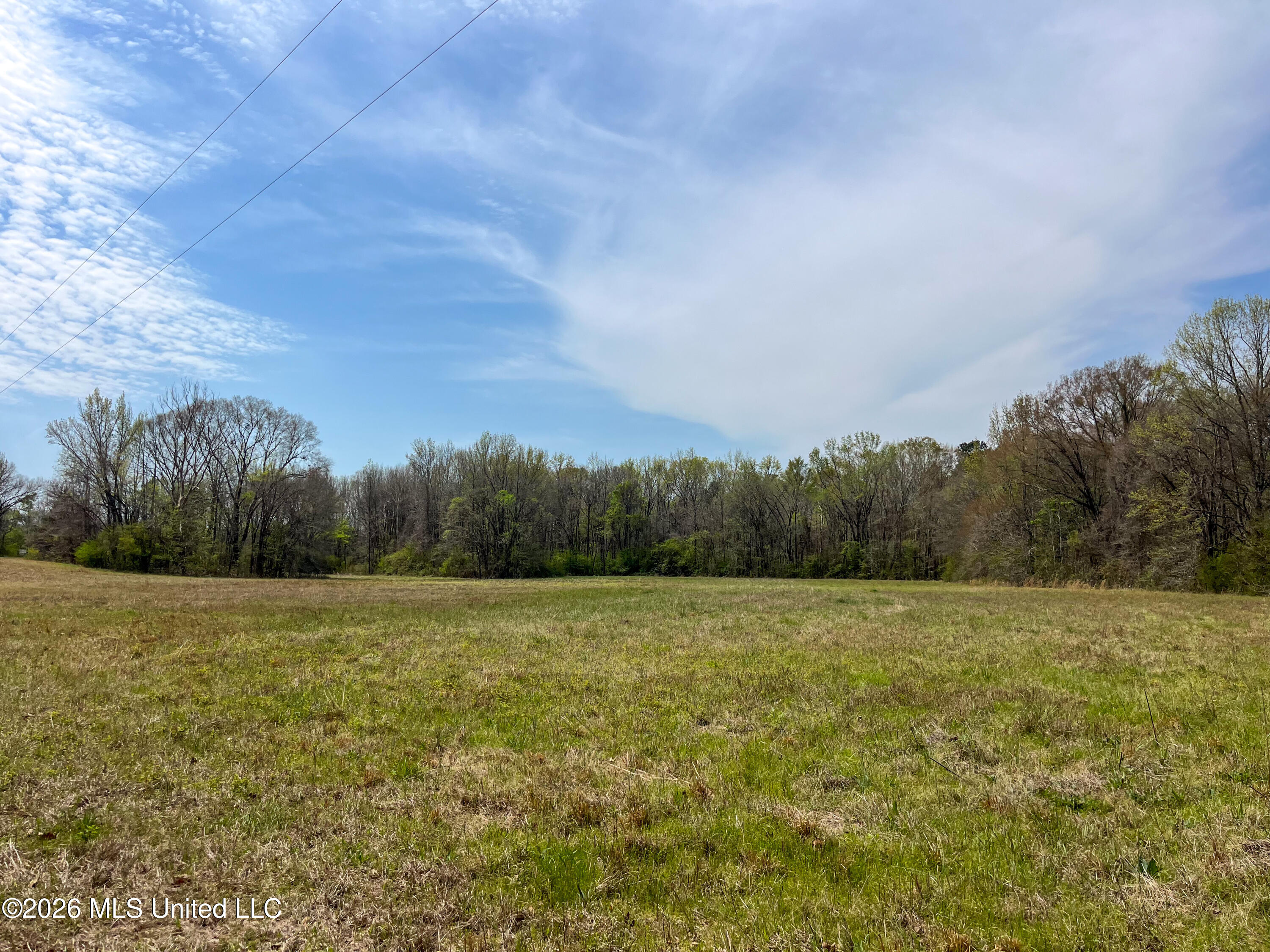 Simpson Road Pickens, MS 39146 - Photo 12 of 30 0447D548-7BA1-41D1-ADEF-F90578B657CE