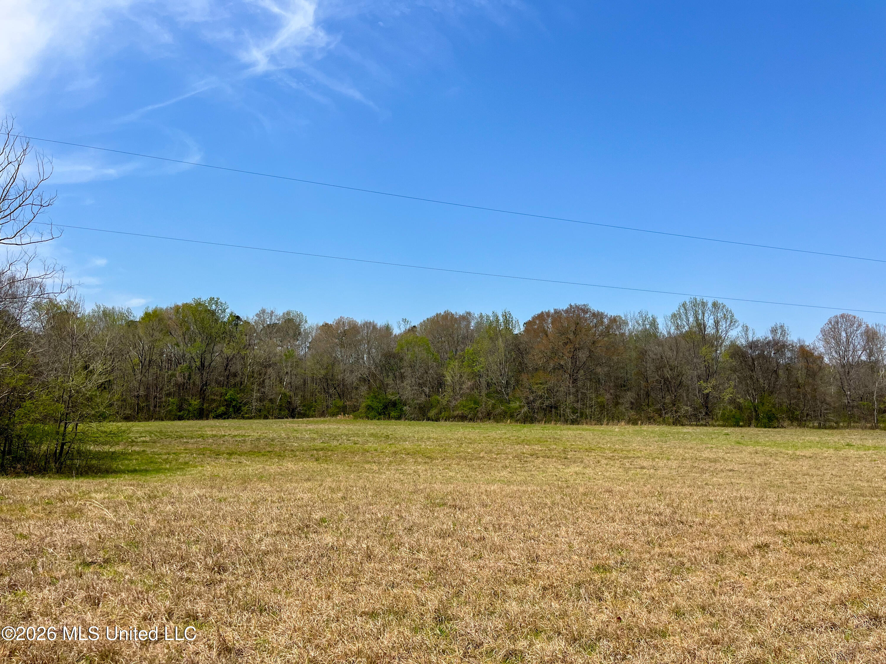 Simpson Road Pickens, MS 39146 - Photo 13 of 30 770657F1-76A7-45CB-A6BC-5564113229DA