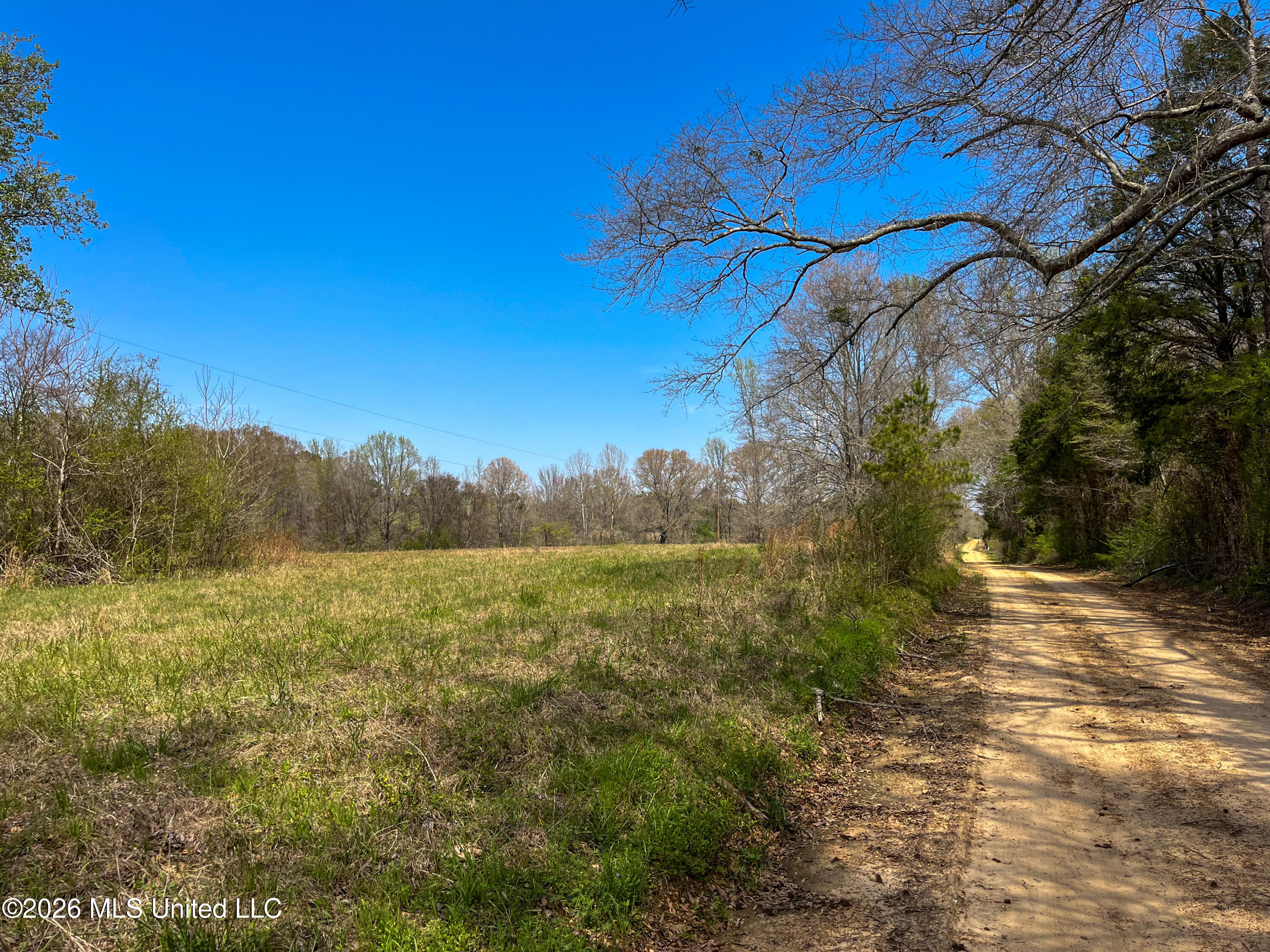 Simpson Road Pickens, MS 39146 - Photo 14 of 30 AF638E56-2021-4DCA-BCDE-014646FC166A