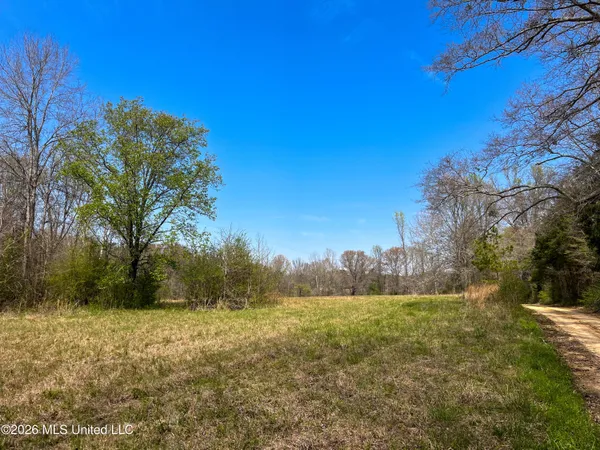 $55,000 | Simpson Road, Pickens, MS 39146