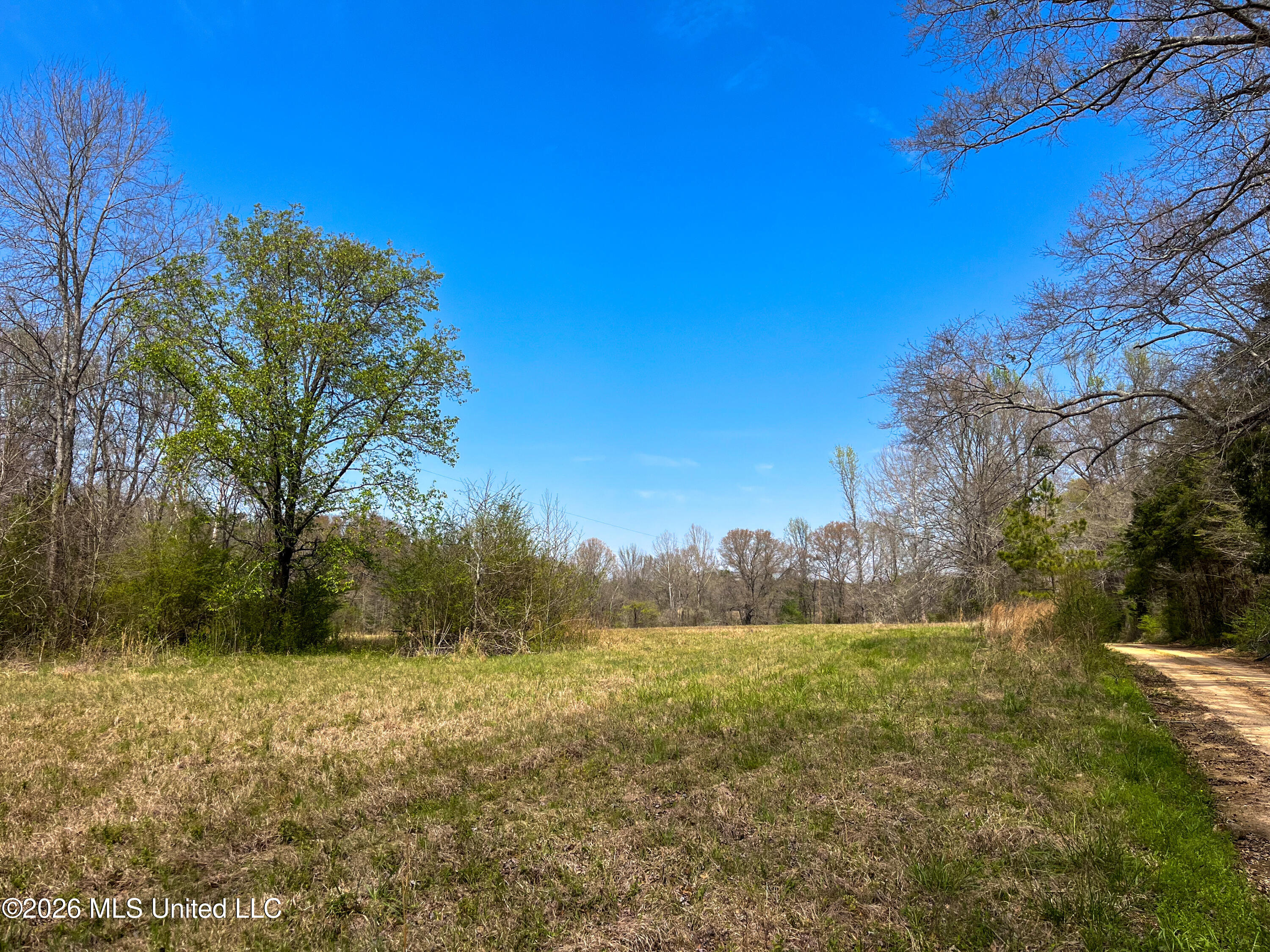 Simpson Road Pickens, MS 39146 - Photo 16 of 30 B69F3390-4CC4-4864-BACE-51ED6EF1817C