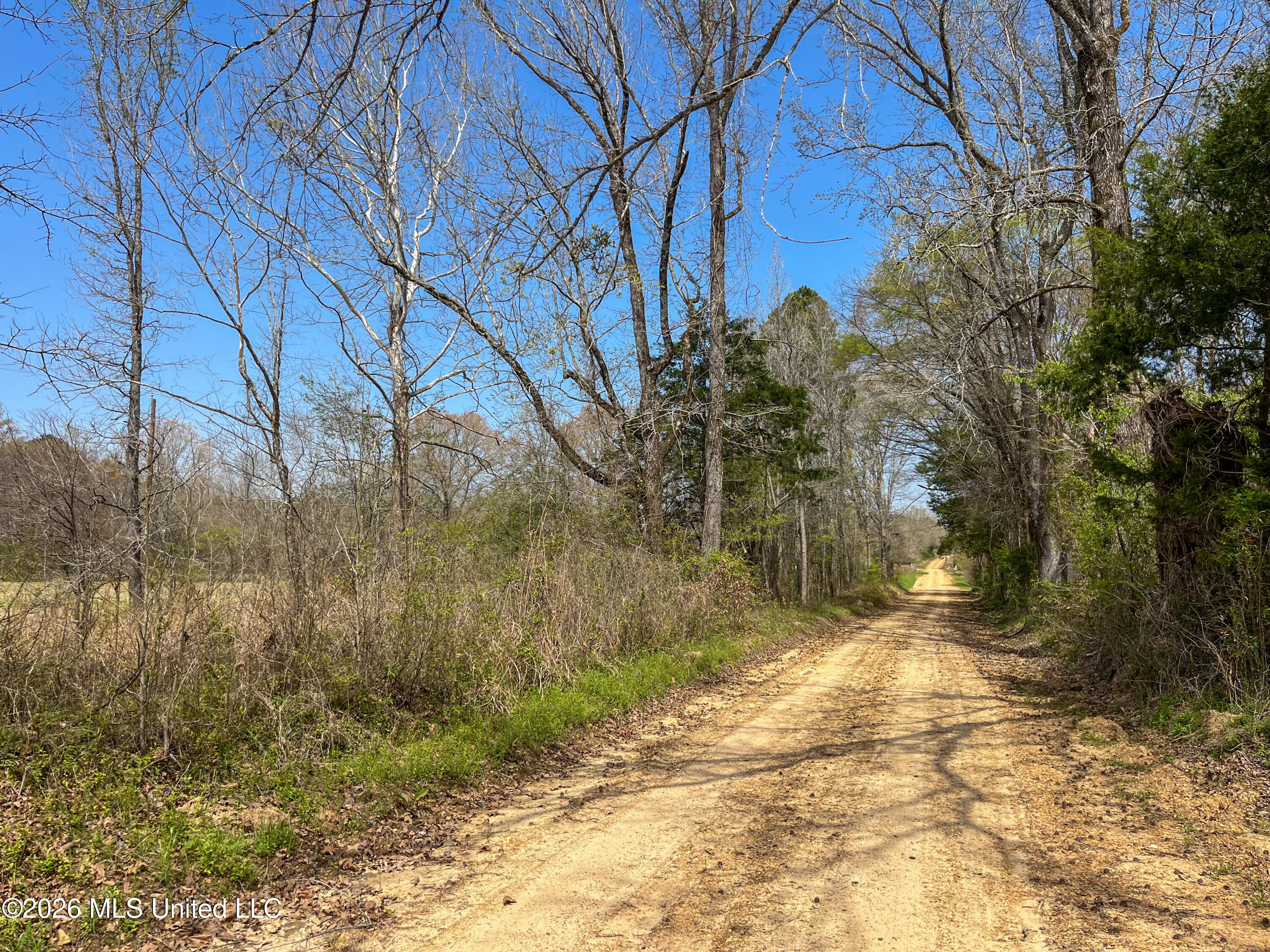Simpson Road Pickens, MS 39146 - Photo 17 of 30 B728B043-6BED-4A6F-96F3-3AEF92D0ABA0