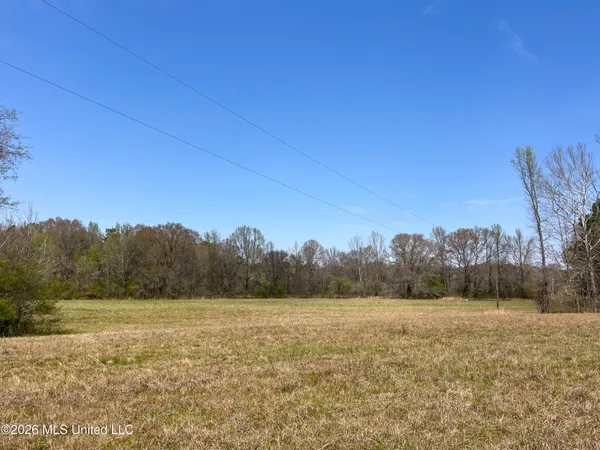 $55,000 | Simpson Road, Pickens, MS 39146