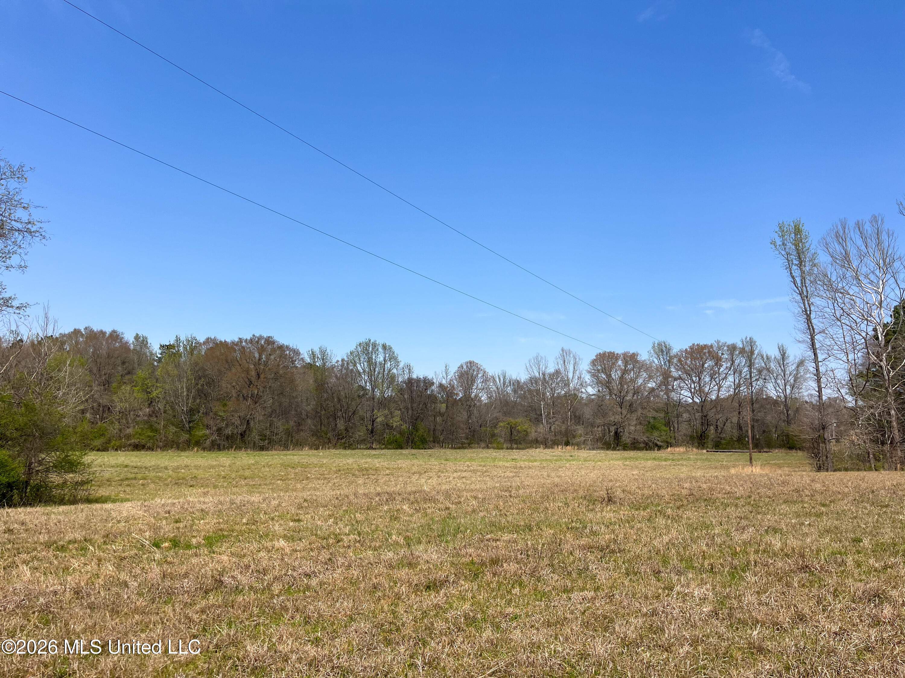 Simpson Road Pickens, MS 39146 - Photo 18 of 30 BDAD8B3A-DA22-486E-A21E-9815745321B0