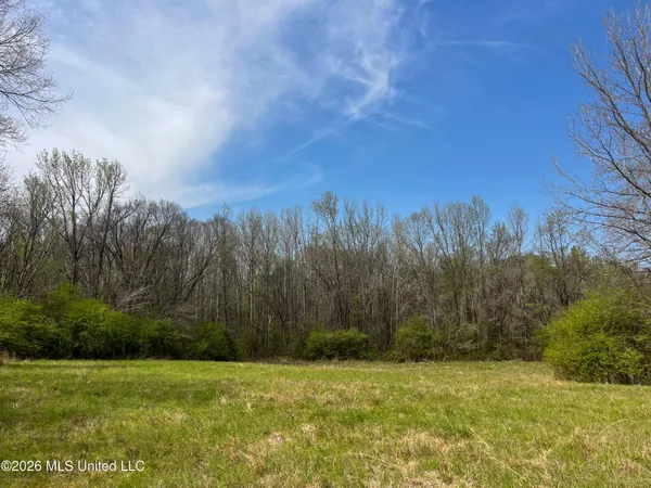 $55,000 | Simpson Road, Pickens, MS 39146