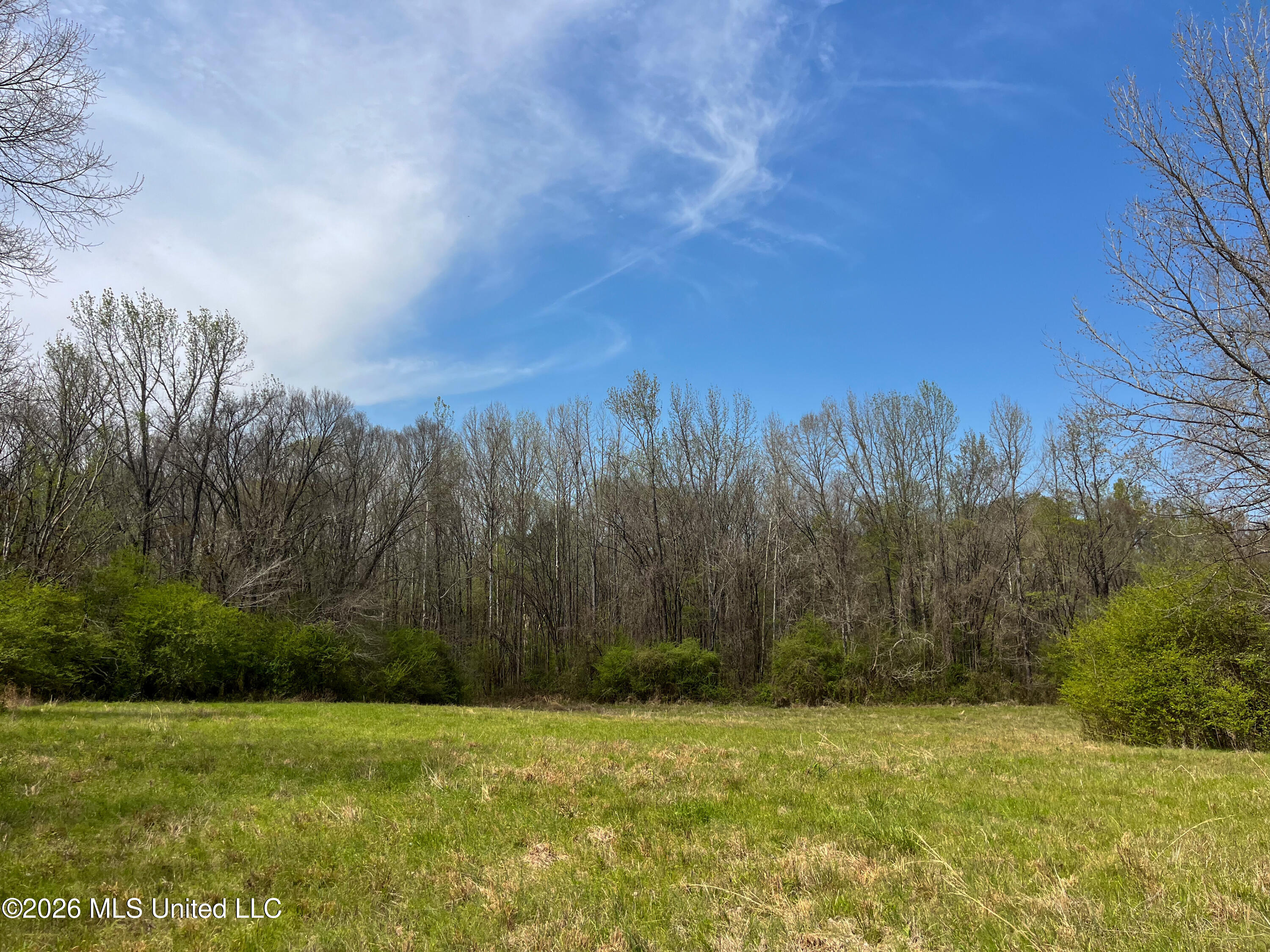 Simpson Road Pickens, MS 39146 - Photo 2 of 30 02C0779E-7D6C-491F-8B80-AA852E42FA3E