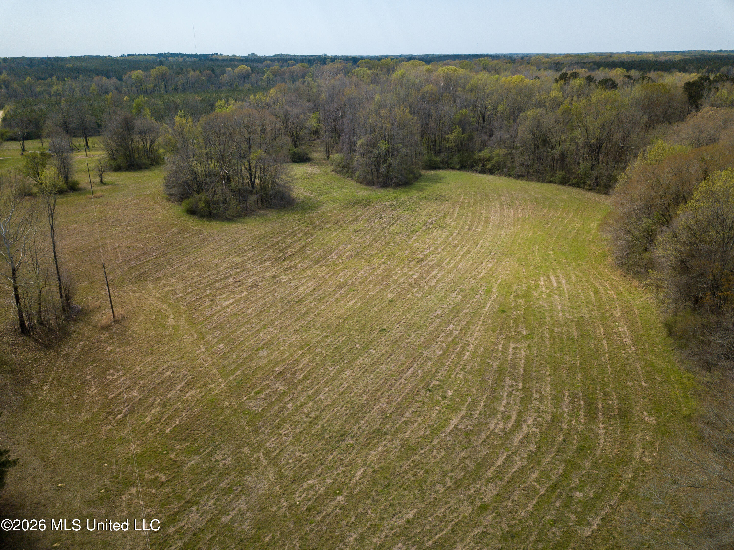 Simpson Road Pickens, MS 39146 - Photo 22 of 30 DJI_0789