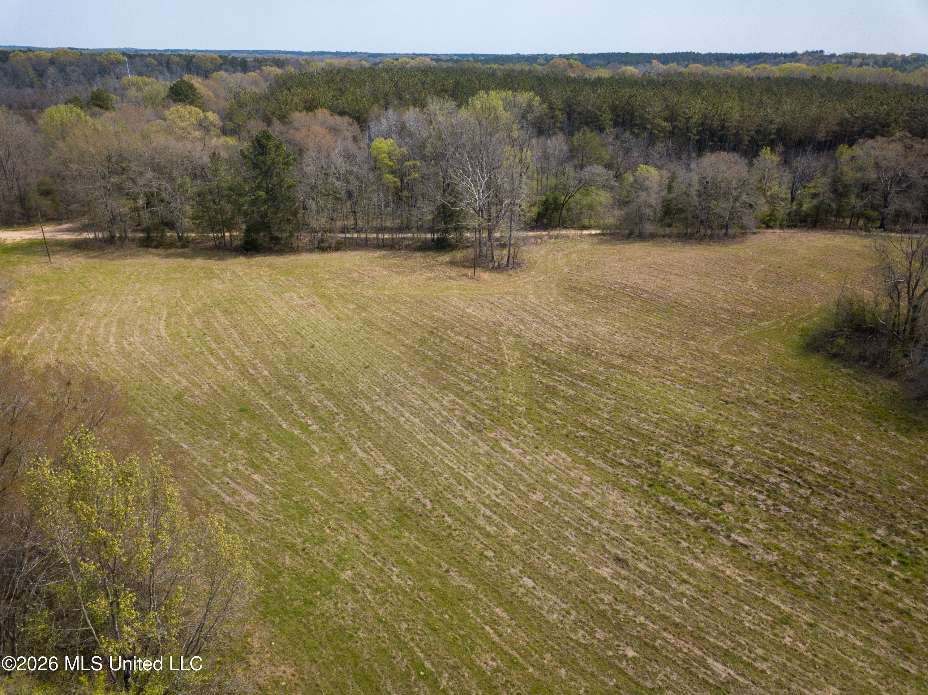 Simpson Road Pickens, MS 39146 - Photo 23 of 30 DJI_0790