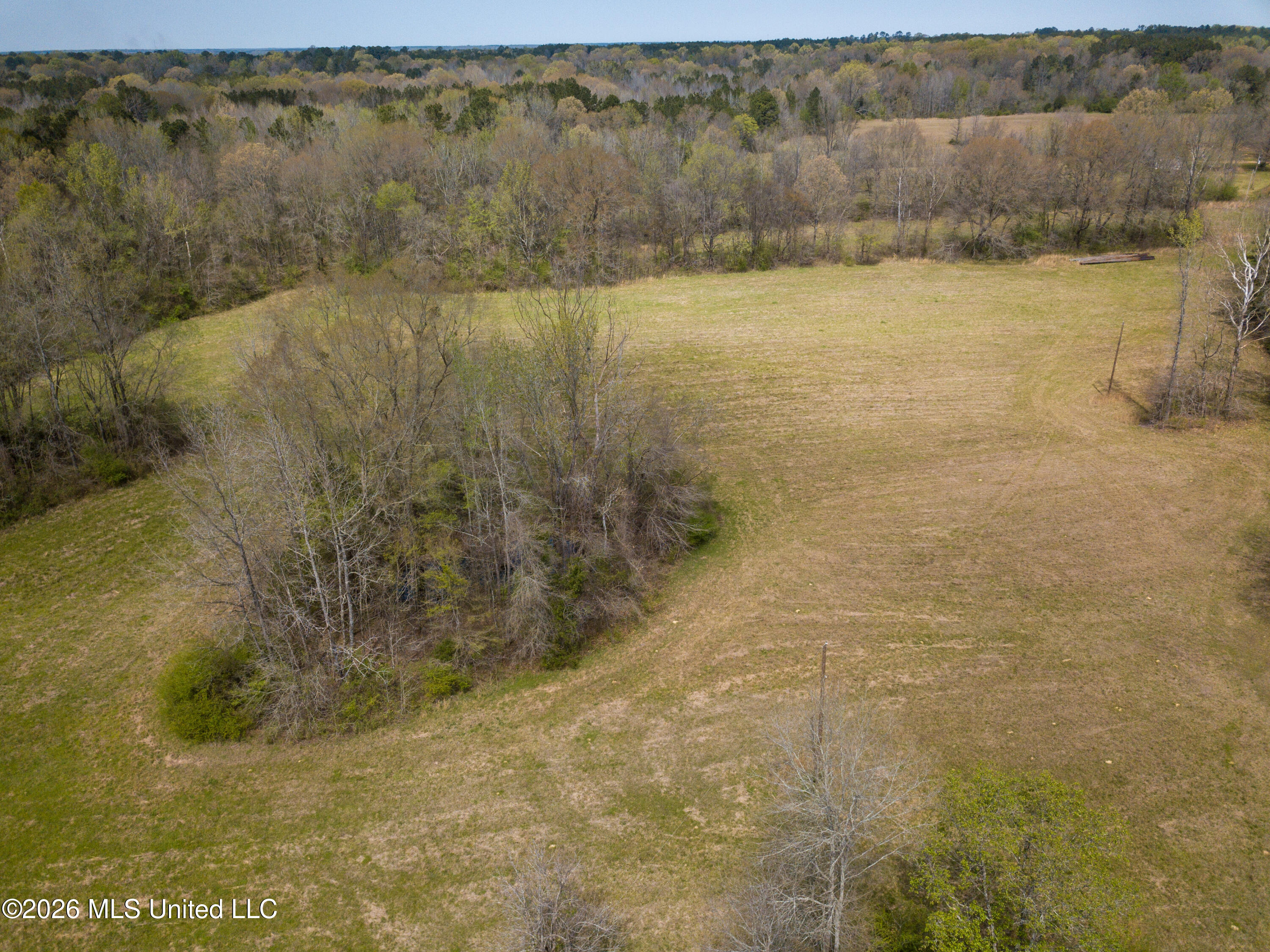 Simpson Road Pickens, MS 39146 - Photo 24 of 30 DJI_0793