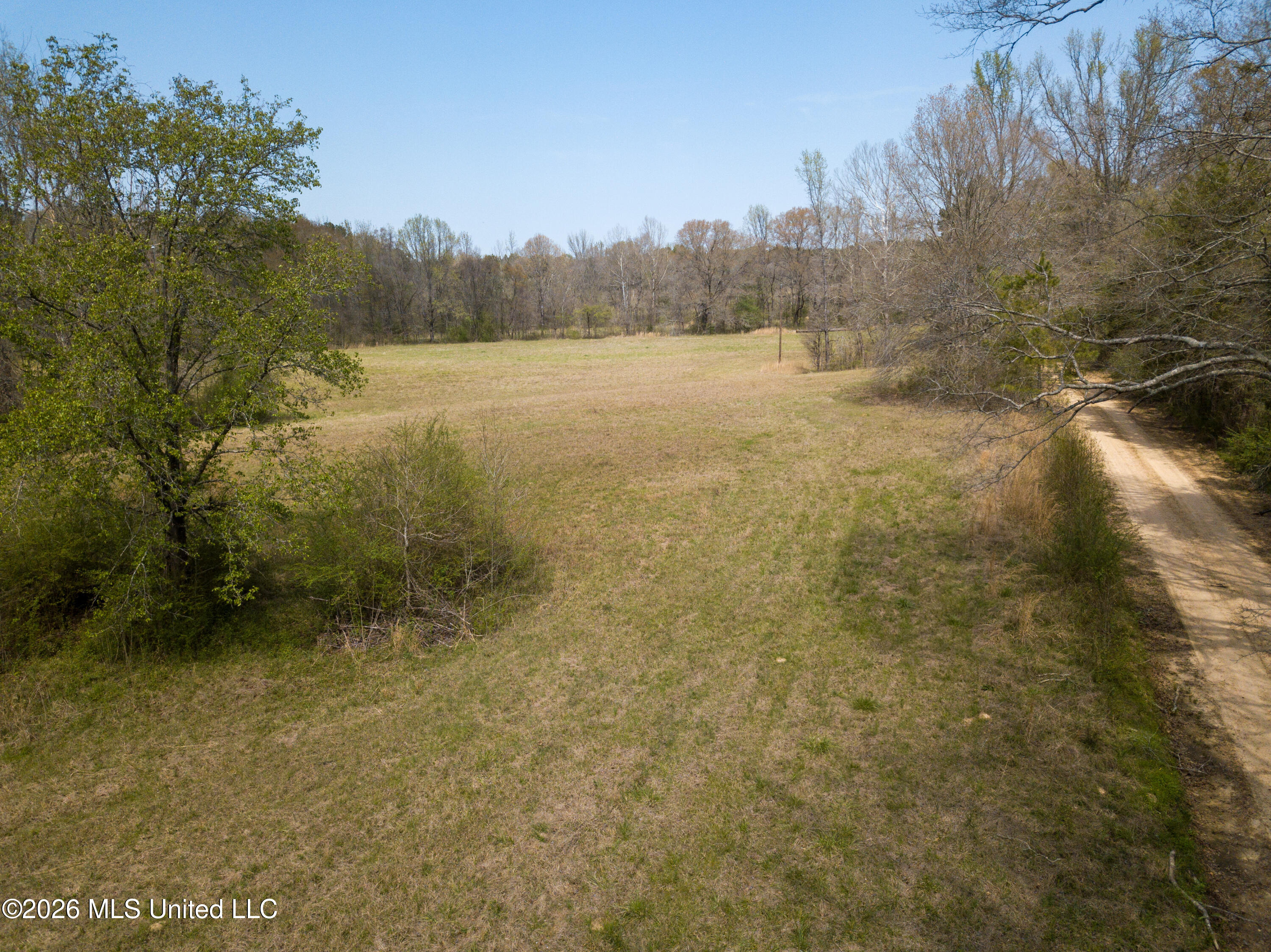 Simpson Road Pickens, MS 39146 - Photo 25 of 30 DJI_0794