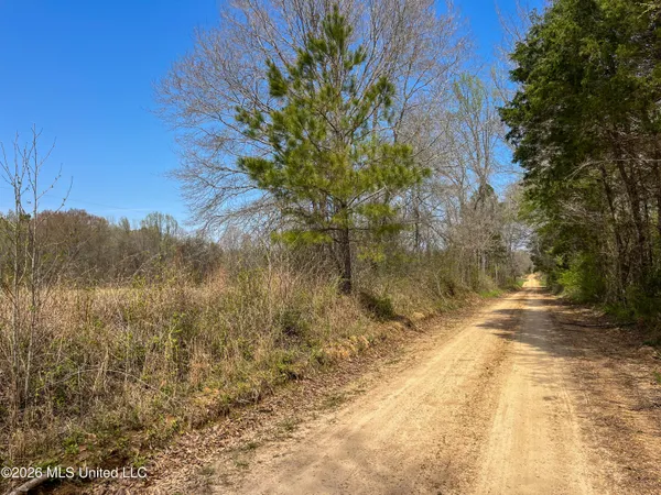 $55,000 | Simpson Road, Pickens, MS 39146