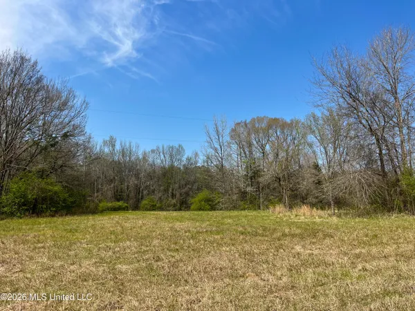 $55,000 | Simpson Road, Pickens, MS 39146