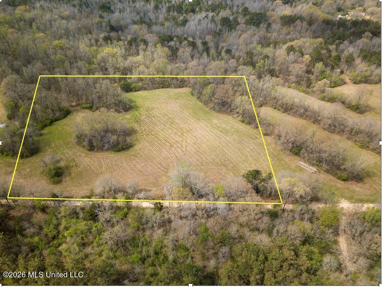 Simpson Road Pickens, MS 39146 - Photo 4 of 30 Screenshot 2026-03-23 at 1.53.04 PM