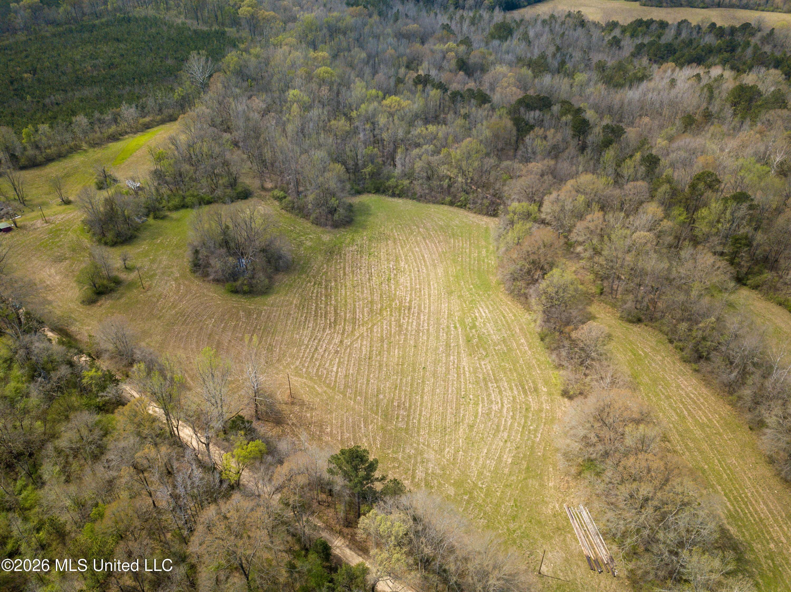 Simpson Road Pickens, MS 39146 - Photo 5 of 30 DJI_0787