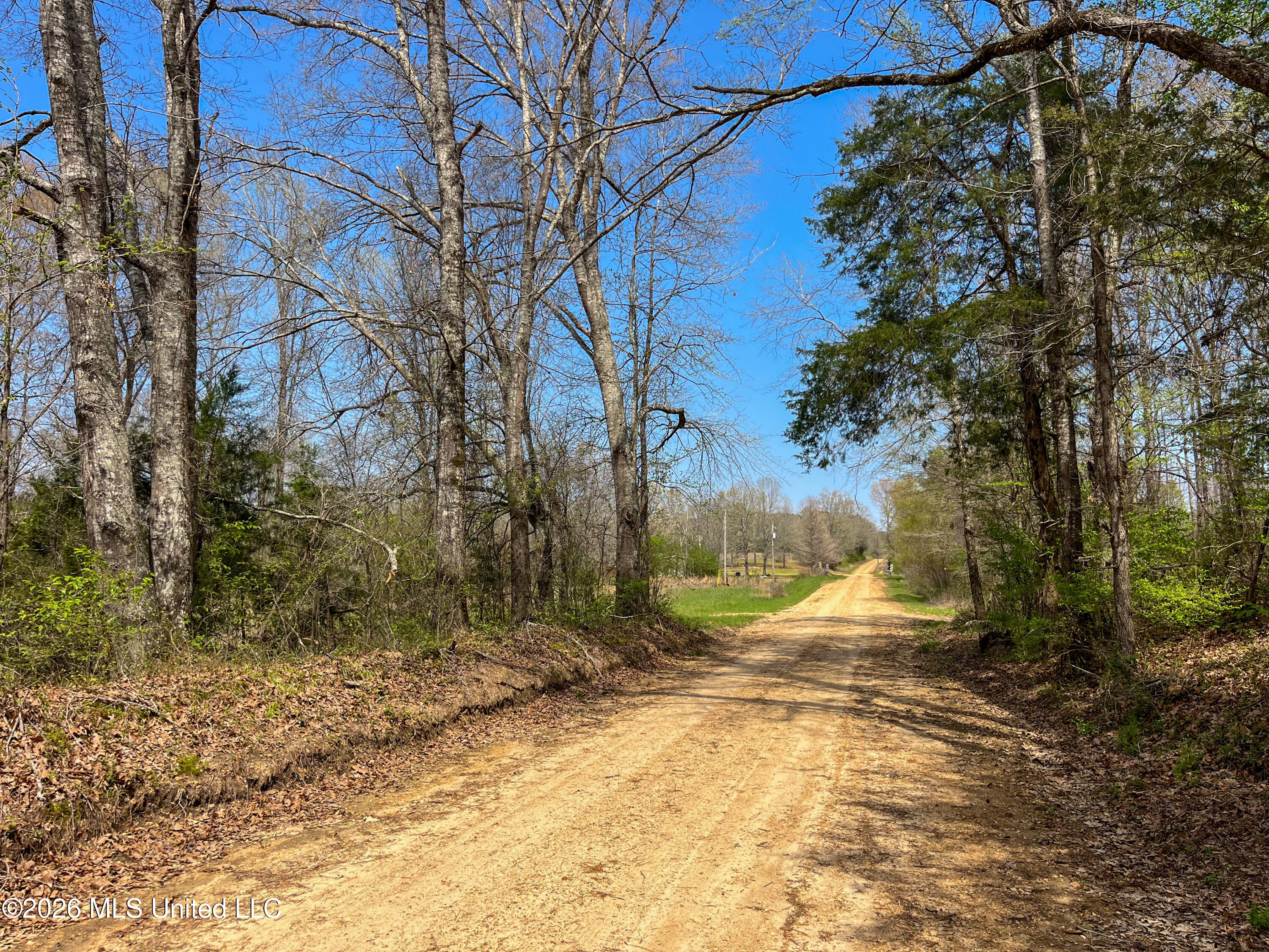 Simpson Road Pickens, MS 39146 - Photo 7 of 30 5D3BE4E3-9FBB-42DD-AC5C-1E59EECB503B