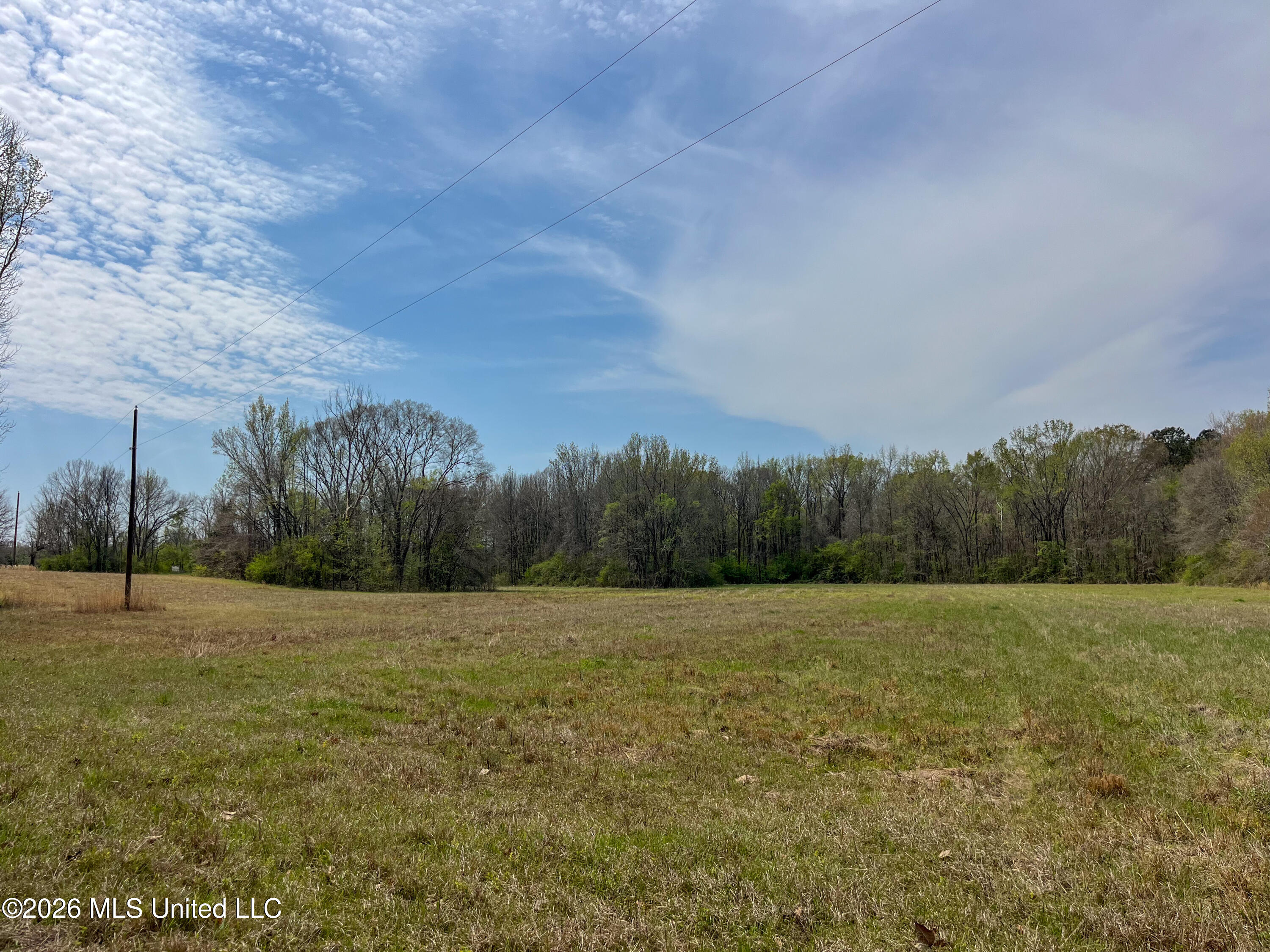 Simpson Road Pickens, MS 39146 - Photo 8 of 30 5FE24D20-0D10-4FEB-809E-C63607227314